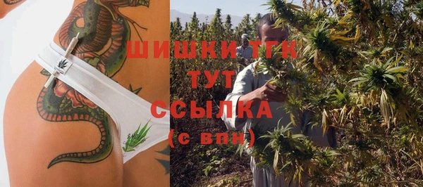 амф Краснослободск