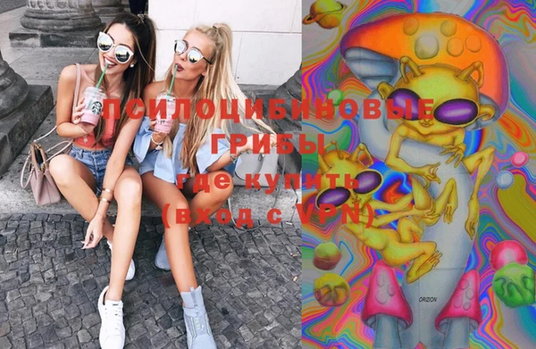 амф Краснослободск