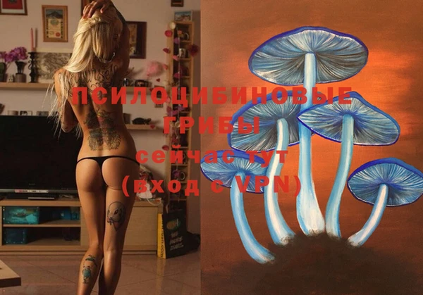 MDMA Premium VHQ Куйбышев