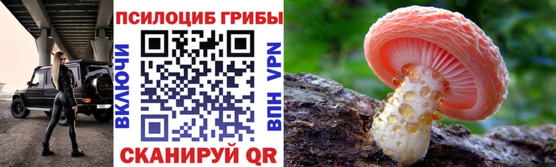 Купить где  Домодедово  Псилоцибиновые грибы мухоморы 